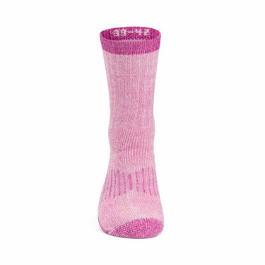 Northug Frosta terry wool sock