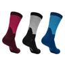 Northug Sockbox Petter cotton 3pk